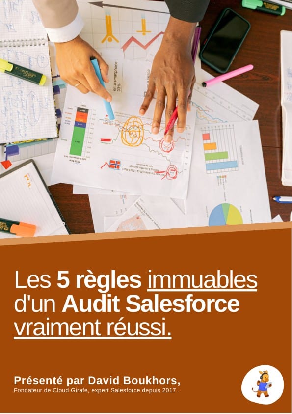 Couverture : Audit Salesforce : cinq règles pour cadrer la démarche