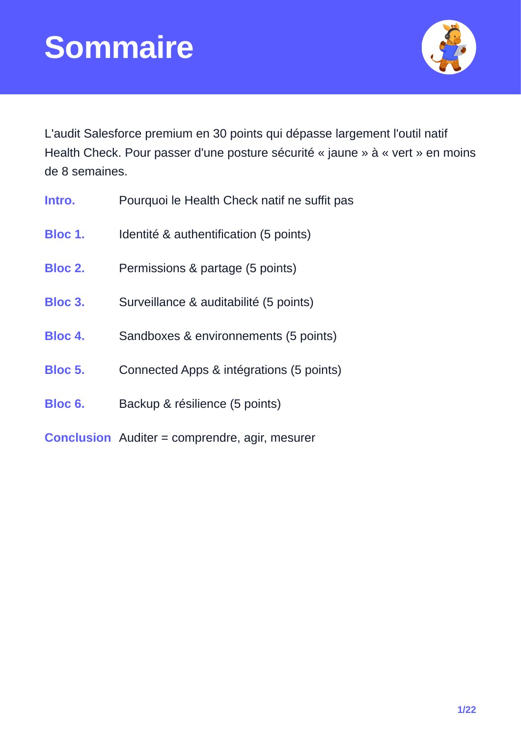 Salesforce Health Check : trente points de revue : aperçu page 2