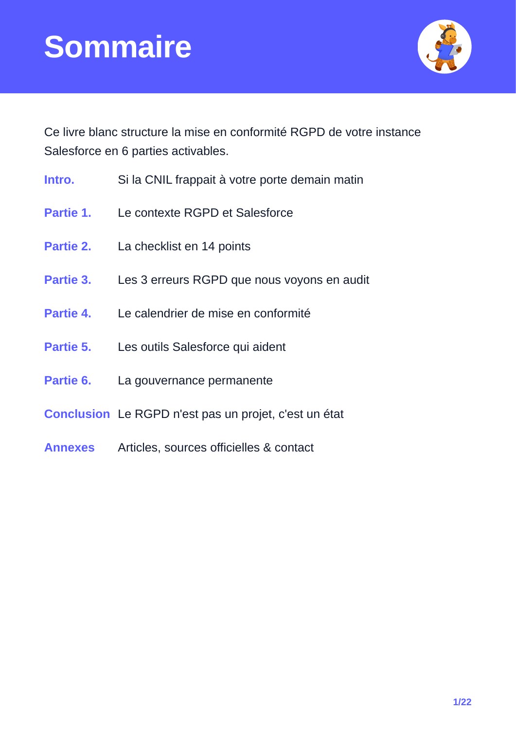 RGPD Salesforce : données, accès et gouvernance : aperçu page 2