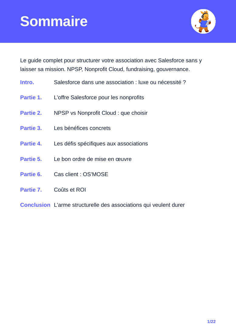 Sommaire du guide : offre Salesforce, NPSP et Nonprofit Cloud, usages associatifs, défis et mise en œuvre.