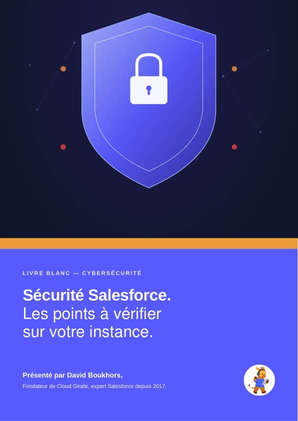 Couverture : Sécurité Salesforce : les points à vérifier